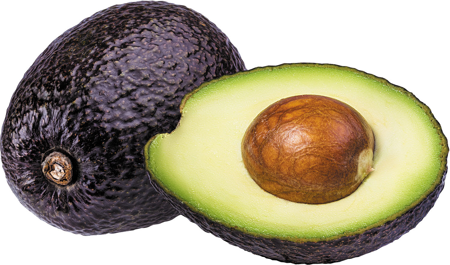 AVOCADO   142   L