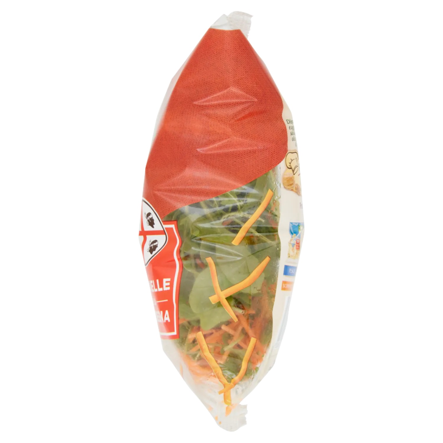 BONDUELLE CDI ALLEGRA 100 GR   XL