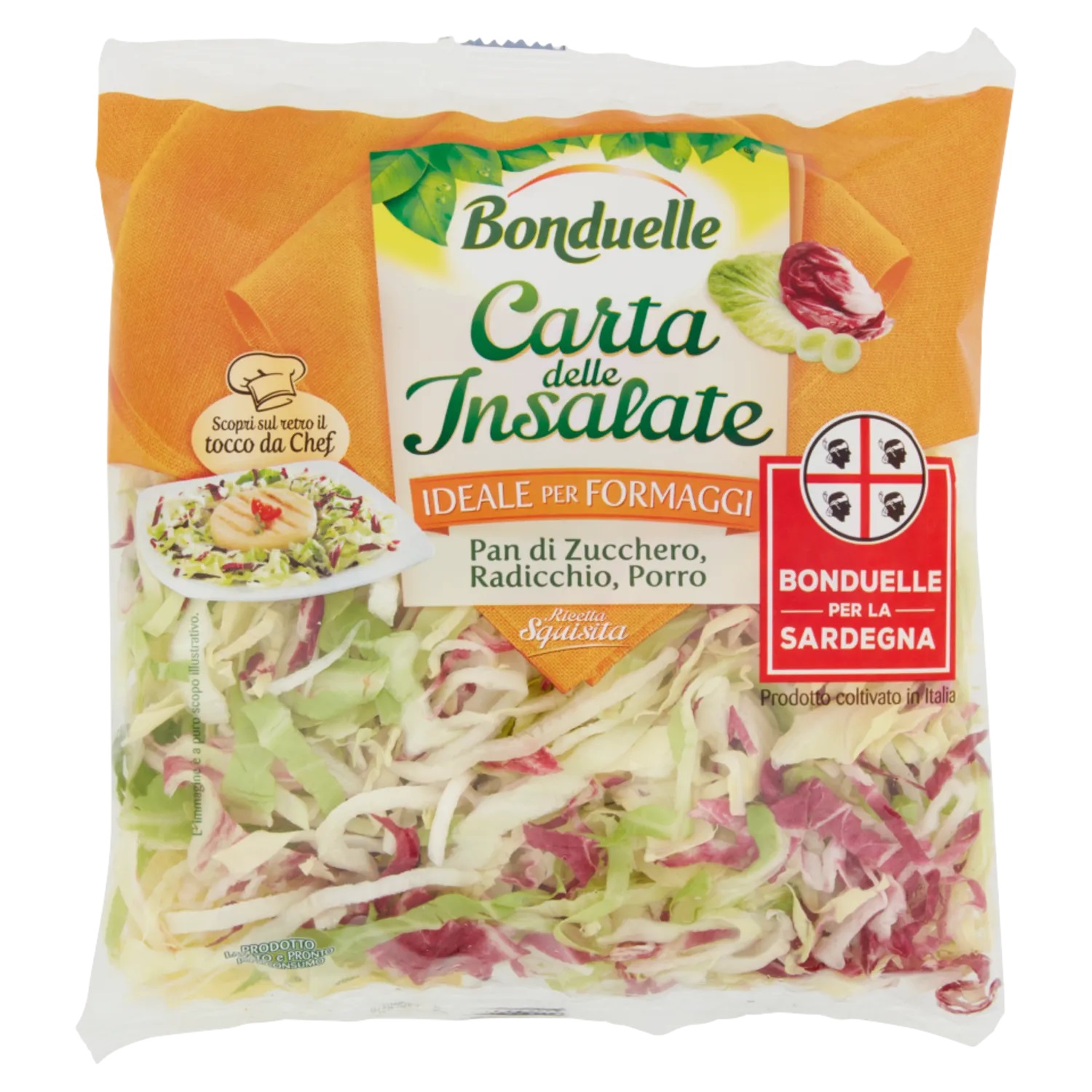 BONDUELLE CDI SQUISITA 90 GR   S
