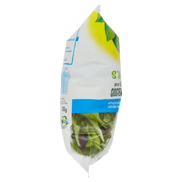 BONDUELLE GRAN MIX GUSTO 100 GR   S