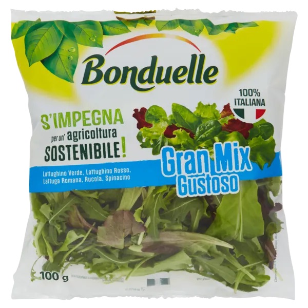 BONDUELLE GRAN MIX GUSTO 100 GR   S
