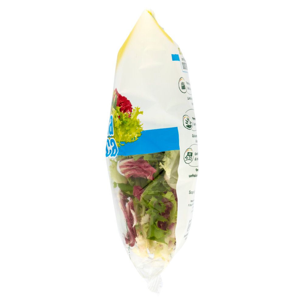 BONDUELLE ARMONIA INSALATINA 150 GR   S