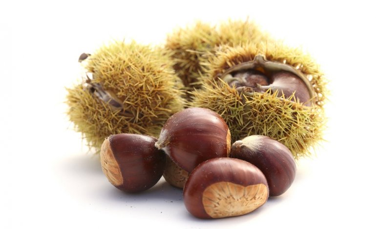 CASTAGNE   19   L