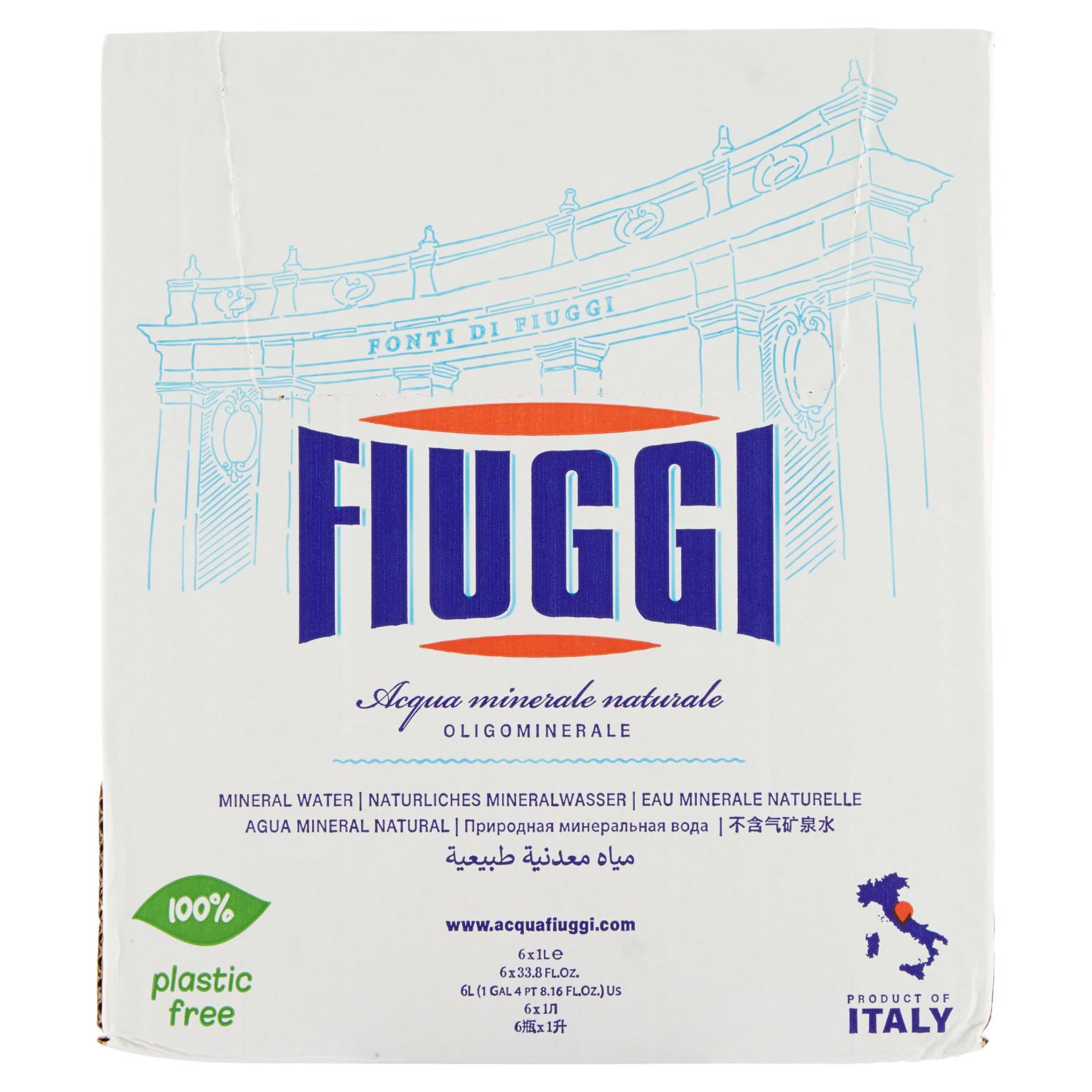 FIUGGI ACQUA VETRO 1 LT   S