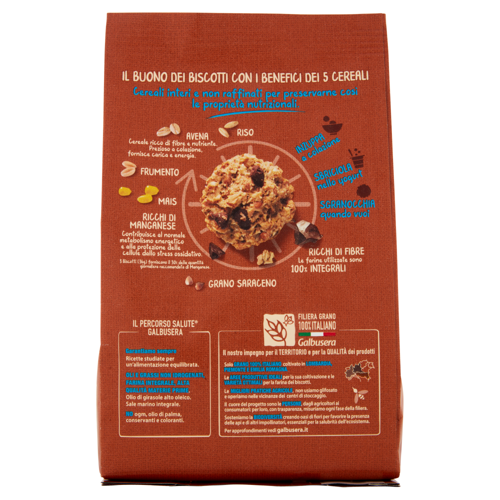 GALBUSERA BISC CEREAL G CIOCC 300 GR   XL