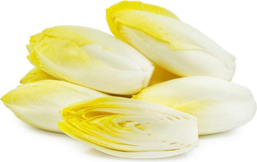 INDIVIA BELGA CONFEZIONATA 500 GR   117   S