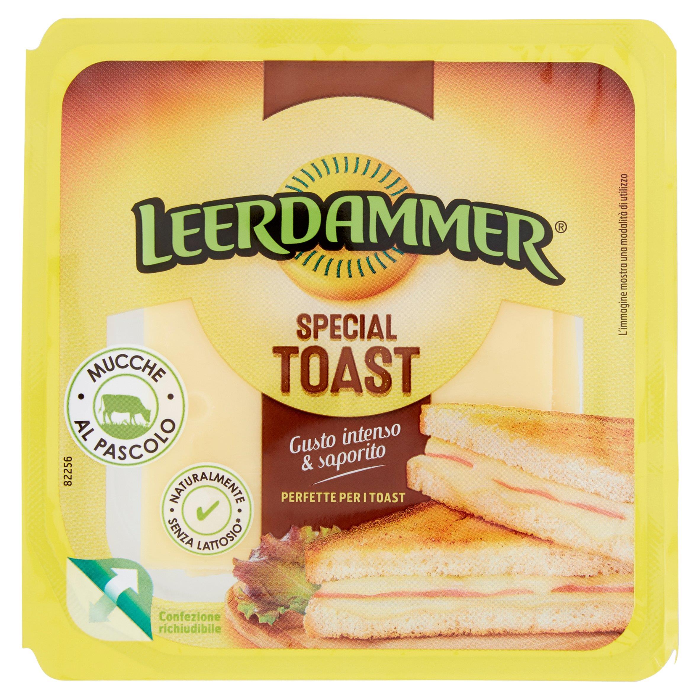 LEERDAMMER SPECIAL TOAST 125 GR   M