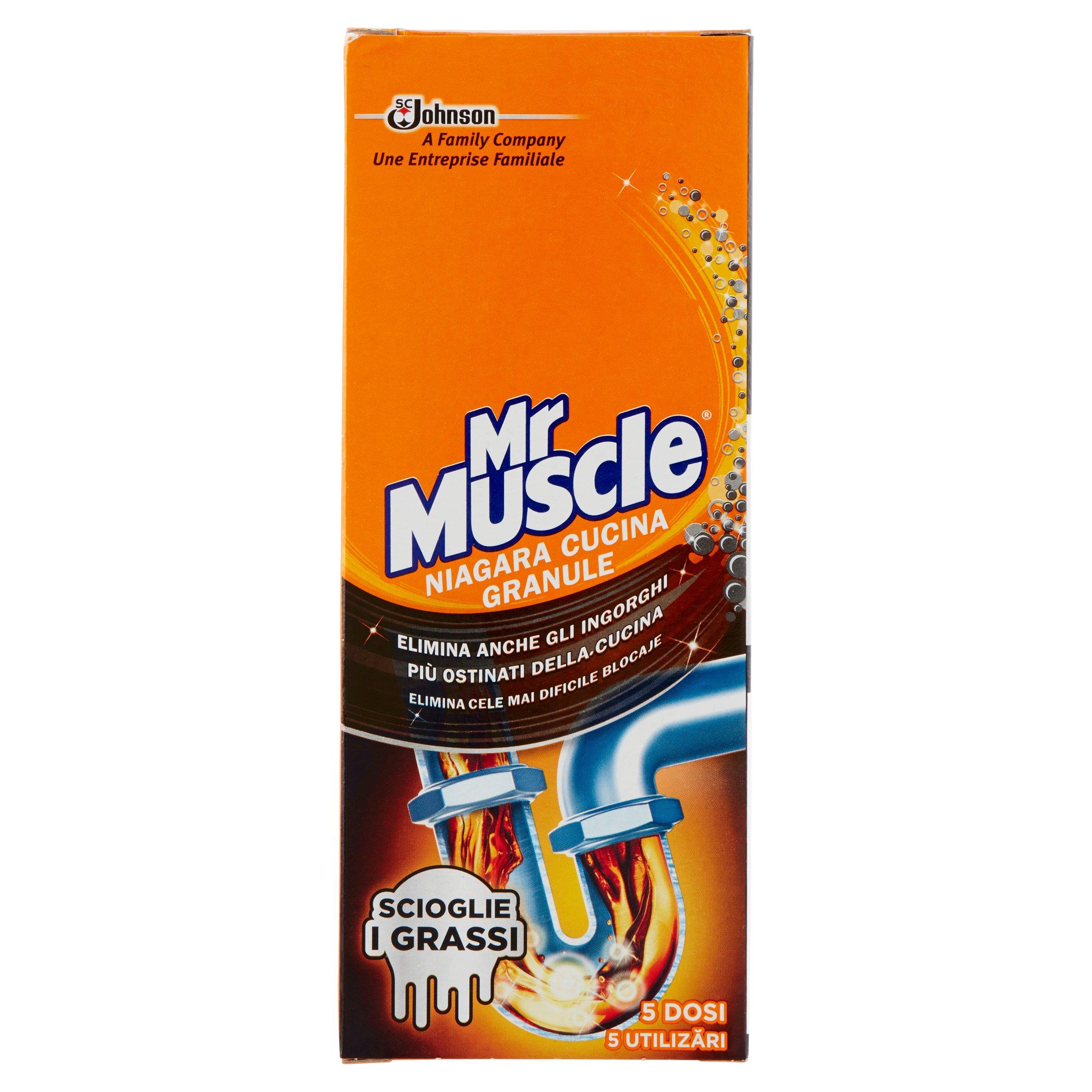 MISTER MUSCL NIAGARA GRANULARE 250 GR   XL