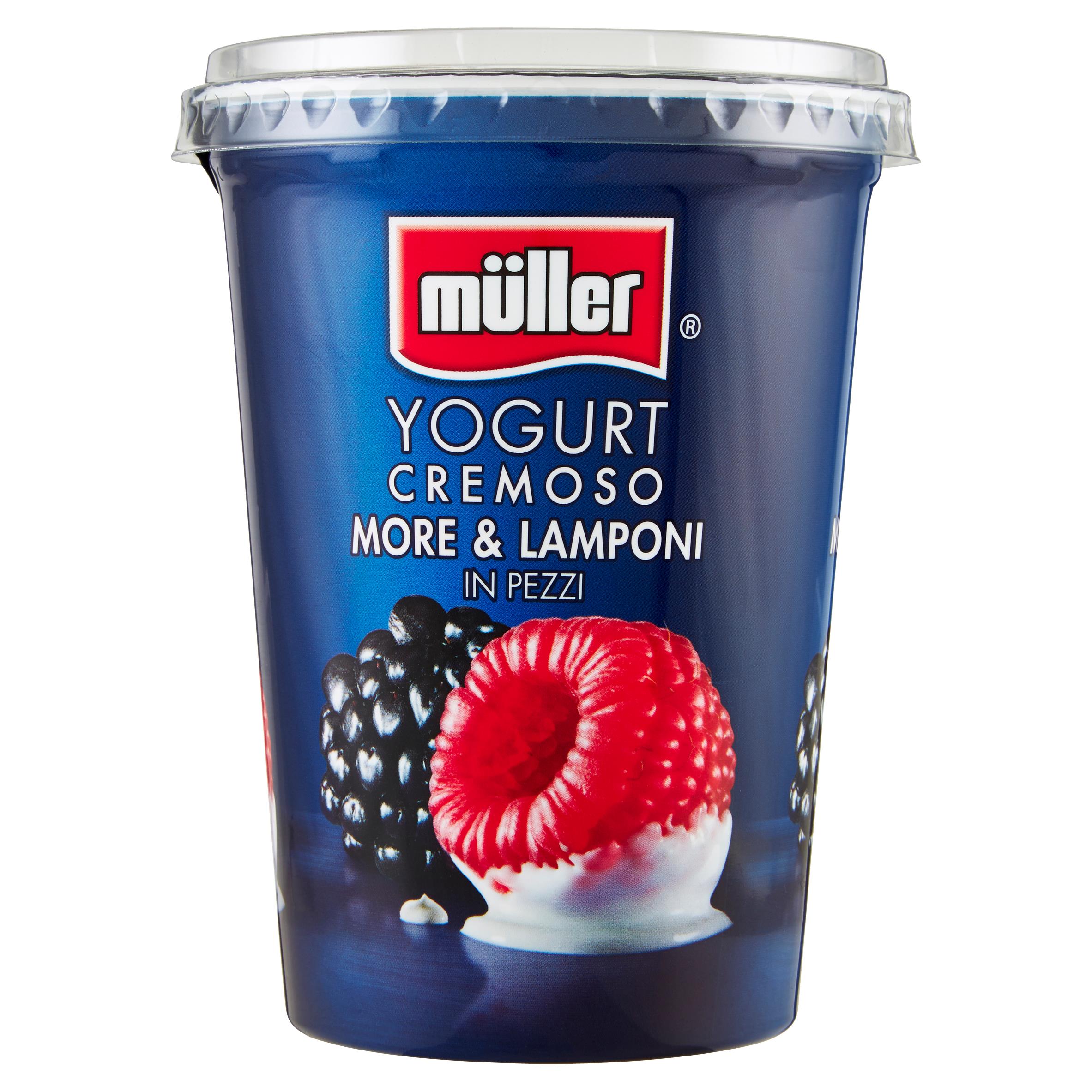 MULLER CR YOG MOR/LAMP 500 GR     XL