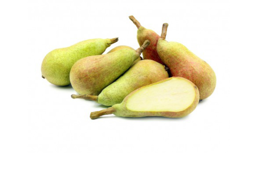 PERE CARMEN   282   L