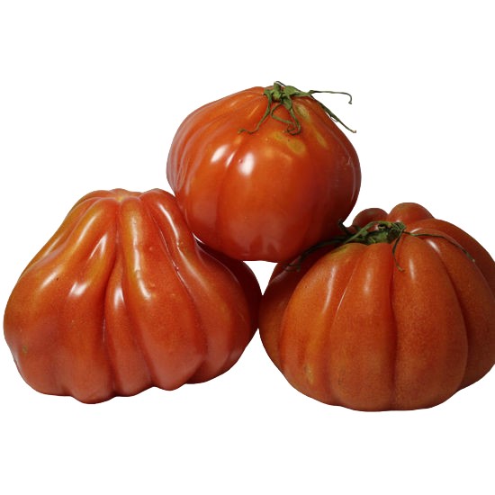 POMODORO CUORE DI BUE   43   L