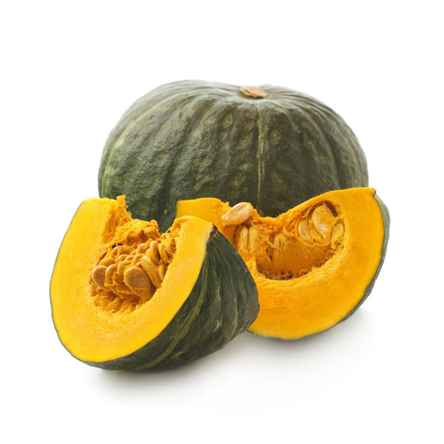 ZUCCA   245   L