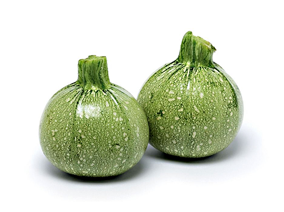 ZUCCHINE TONDE   163   L
