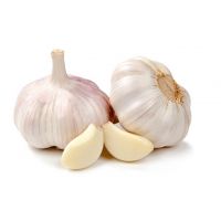 AGLIO CONFEZIONE 200 GR   231   S