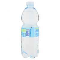 ACQUA SANT ANNA 500 ML   S