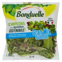 BONDUELLE GRAN MIX GUSTO 100 GR   S