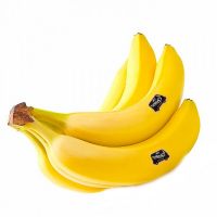 BANANE DOLE ORSERO DEL MONTE   10   M