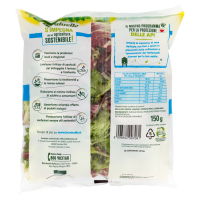 BONDUELLE ARMONIA INSALATINA 150 GR   S