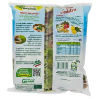 BONDUELLE INSALATINE TENERE 125 GR ESTAT   XL