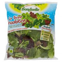 BONDUELLE INSALATINE TENERE 125 GR ESTAT   XL