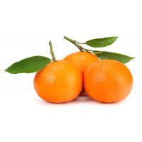 CLEMENTINE MANDARINO MANDALATE   35   S