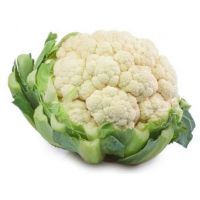 CAVOLFIORE   22   S