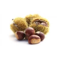 CASTAGNE   19   L