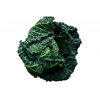 CAVOLO NERO   XL