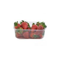 FRAGOLE CONF 250 GR   42   S
