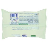 FRESH CLEAN SALVIETTE GRANDI VIAGGI 20 P   S