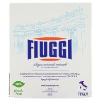 FIUGGI ACQUA VETRO 1 LT   S