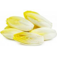 INDIVIA BELGA CONFEZIONATA 500 GR   117   S