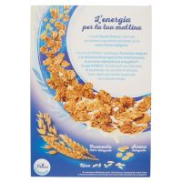 NESTLE FITNESS CEREALI 375 GR   S