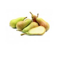 PERE CARMEN   282   L