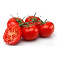 POMODORO TONDO INSALATARO   106   S