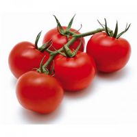 POMODORO GRAPPOLO   33   S