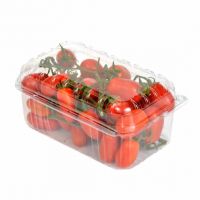 POMODORO DATTERINO TERRE SOLE 500 GR   S