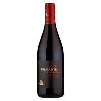 VINO NOVELLO RUBICANTE 750 ML AUTUN   SPOT