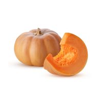 ZUCCA HALLOWEEN   XL