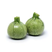 ZUCCHINE TONDE   163   L